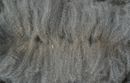 Patagonia's Amancio fleece