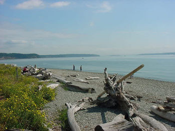 Camano Island-2